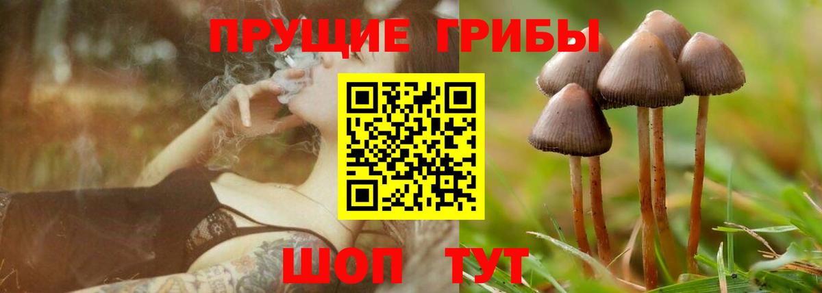 даркнет сайт  Галлюциногенные грибы мухоморы  Вход с VPN  Богданович  Псилоцибиновые грибы мицелий 